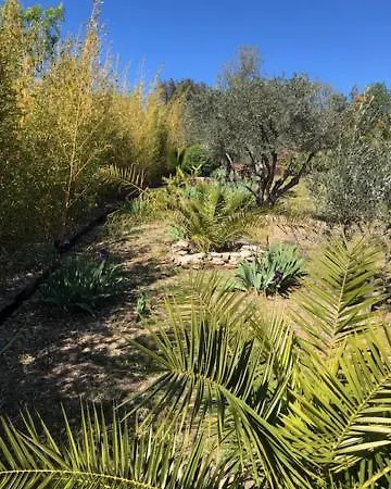 Au Soleil Levant